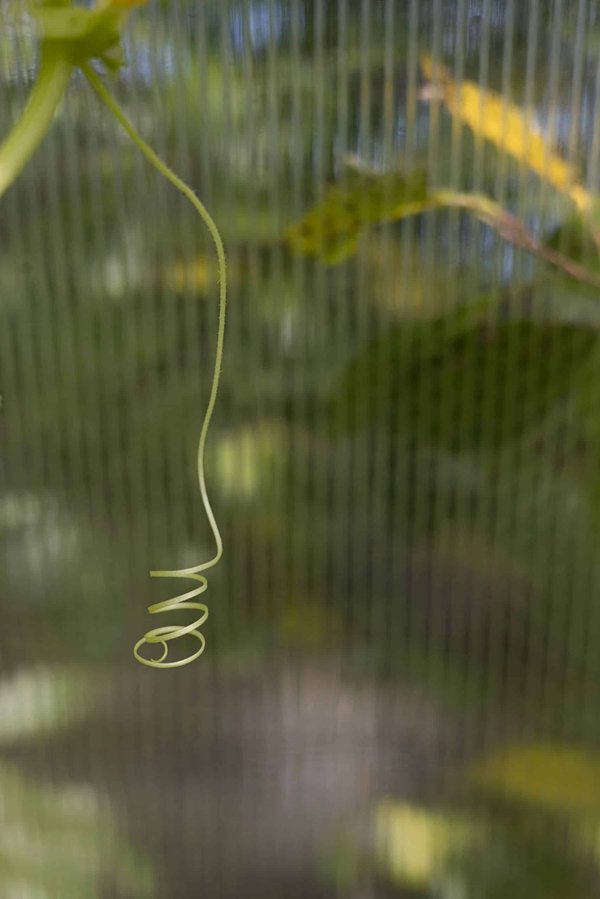 How to Adapt Real Estate Marketing Strategies to Attract Eco-conscious Millennials?